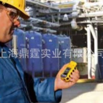 ToxiRAE Pro EC PGM-1860 ����������  �����