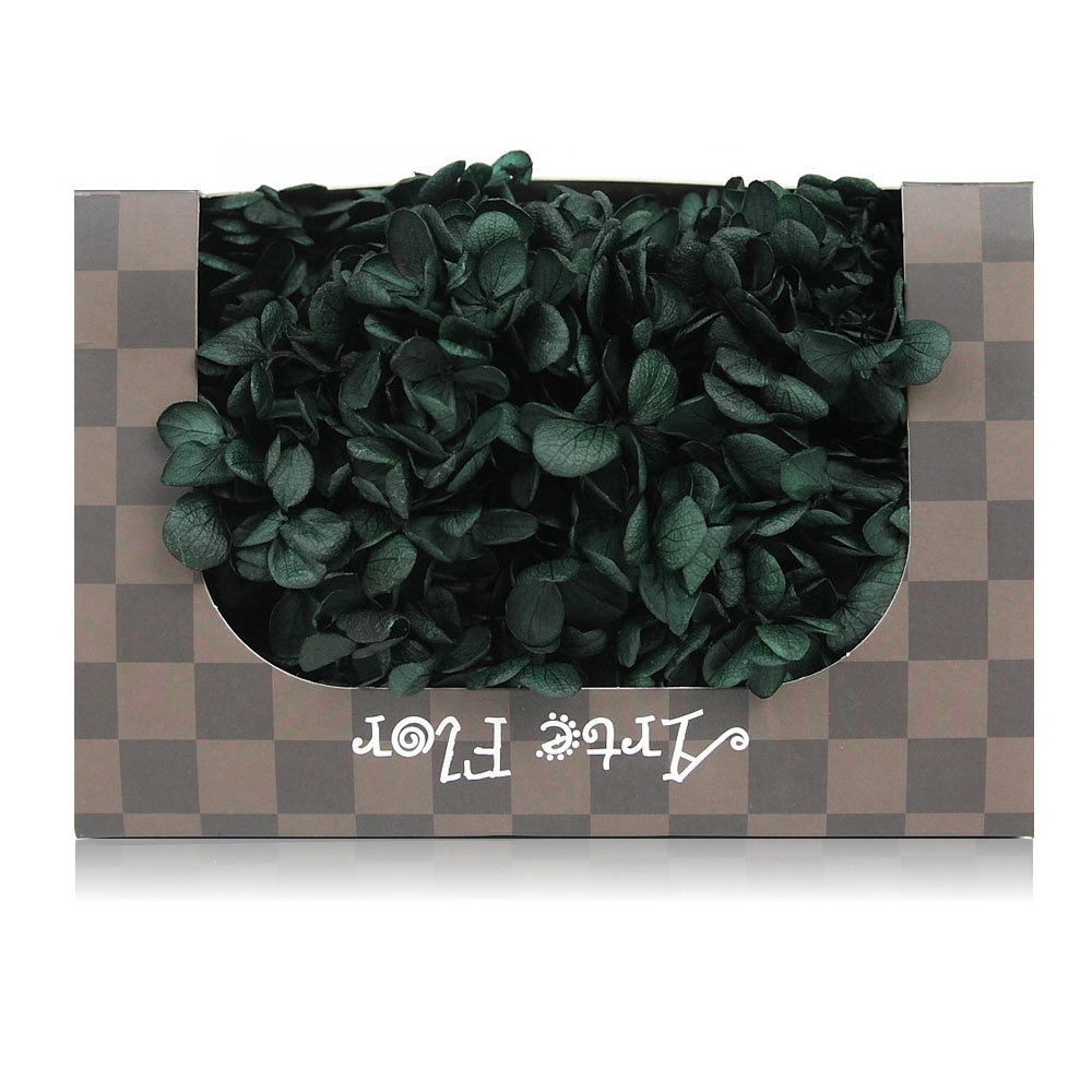 나무 수국 영원한 꽃-다크 그린 20g