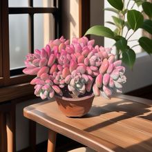 ؈��ֲ���ë���������_��ë�����_���_ֺ��ë����Ƽ���ë�޼���