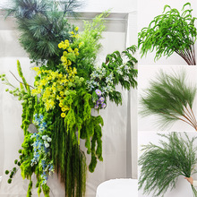 ��횲ݲ廨�b�c���������׾Gɭϵ��c��ˇ�J���ݾGֲ�쾰�F�z