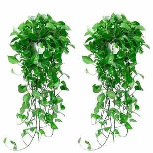 Green Baskets, Green Plants, Florals, Water Nourishes the Air, Removes Formaldehyde, Absorbs Spider Orchids, Hanging Long Vines, Hanging Green Radish Potted Plants, Wenwo