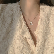 ؈��ʯ������Ů���i���2021���¿���|�ٴ���ŮС���OӋ��