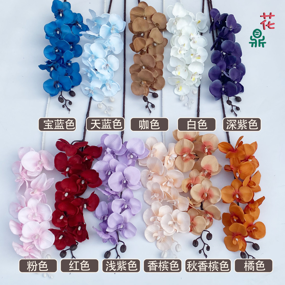 9 Phalaenopsis Phalaenopsis Phalaenopsis Phalaenopsis Shown Markalon Spring Wedding Arch Road Flower Arch