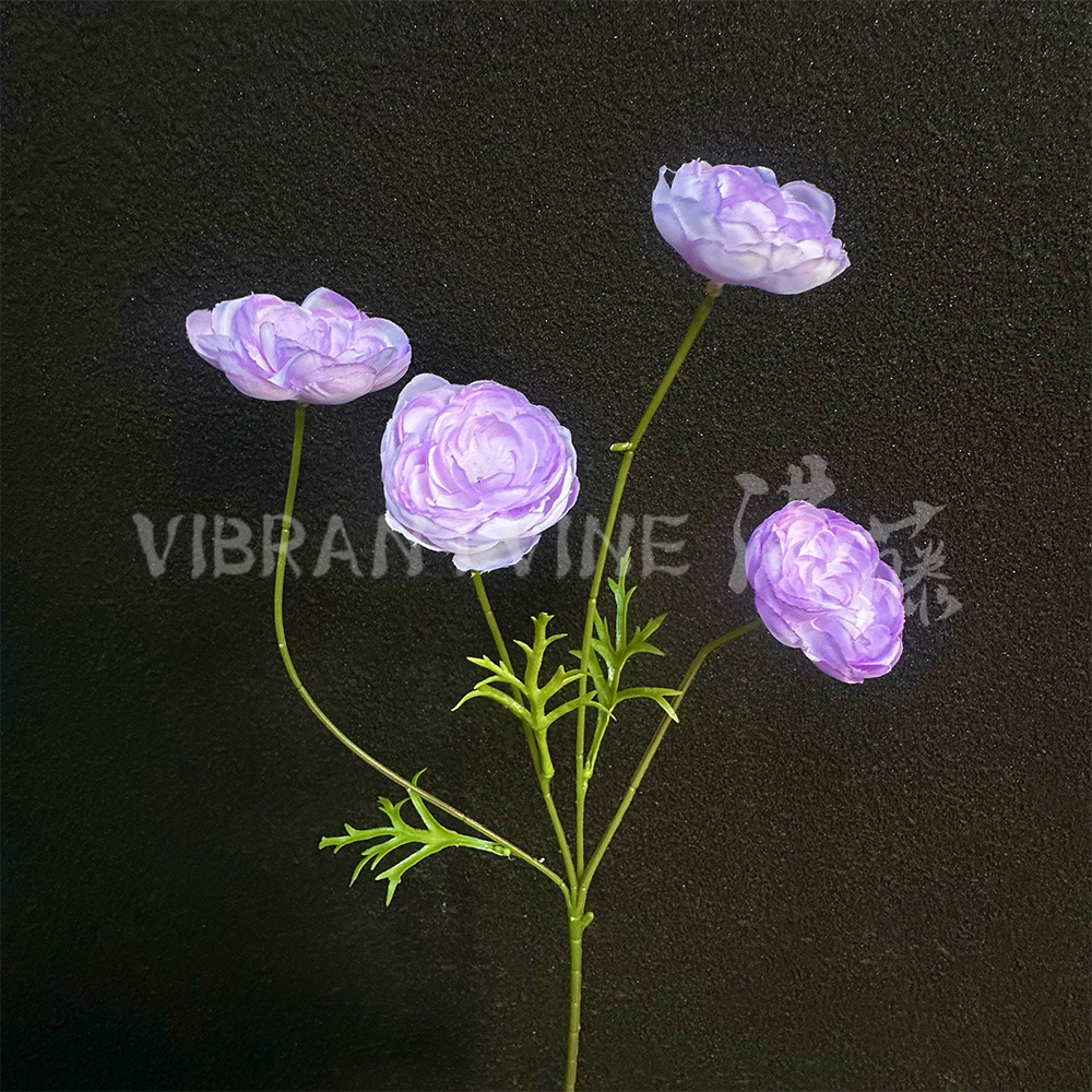 Rosa de té de 4 cabezas, color lila claro.