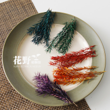 ?֦D÷ǧӽɻݬֹdiyϽֲָ