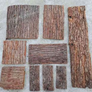 ��Ƥ��ʯ���m��ֲ�ľ�����x�쾰�b�������ɼ���Ƥ��������