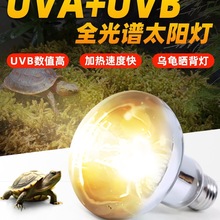 �ǻ�uvb�����񱳟�����ȫ���V̫ꖟ��^uvaˮ���ӟ��a�}���汣�؟�