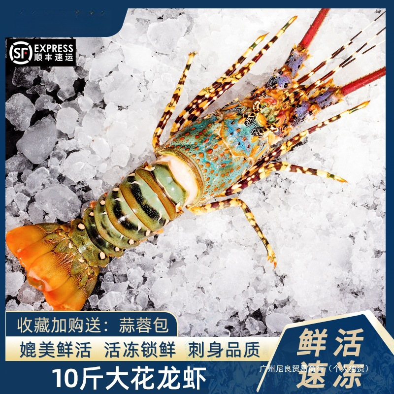 东山岛花龙虾5斤特大澳洲龙虾活冻水产青龙虾冷冻深水虾超大澳龙
