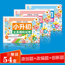 小升初全真模拟试卷 全3册语文数学英语 冲刺升学无忧六升七小学