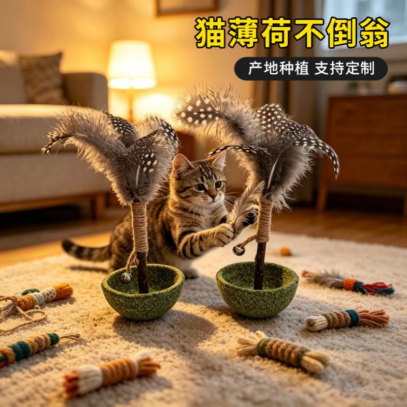 微信图片_20260606190446_1090_781 -