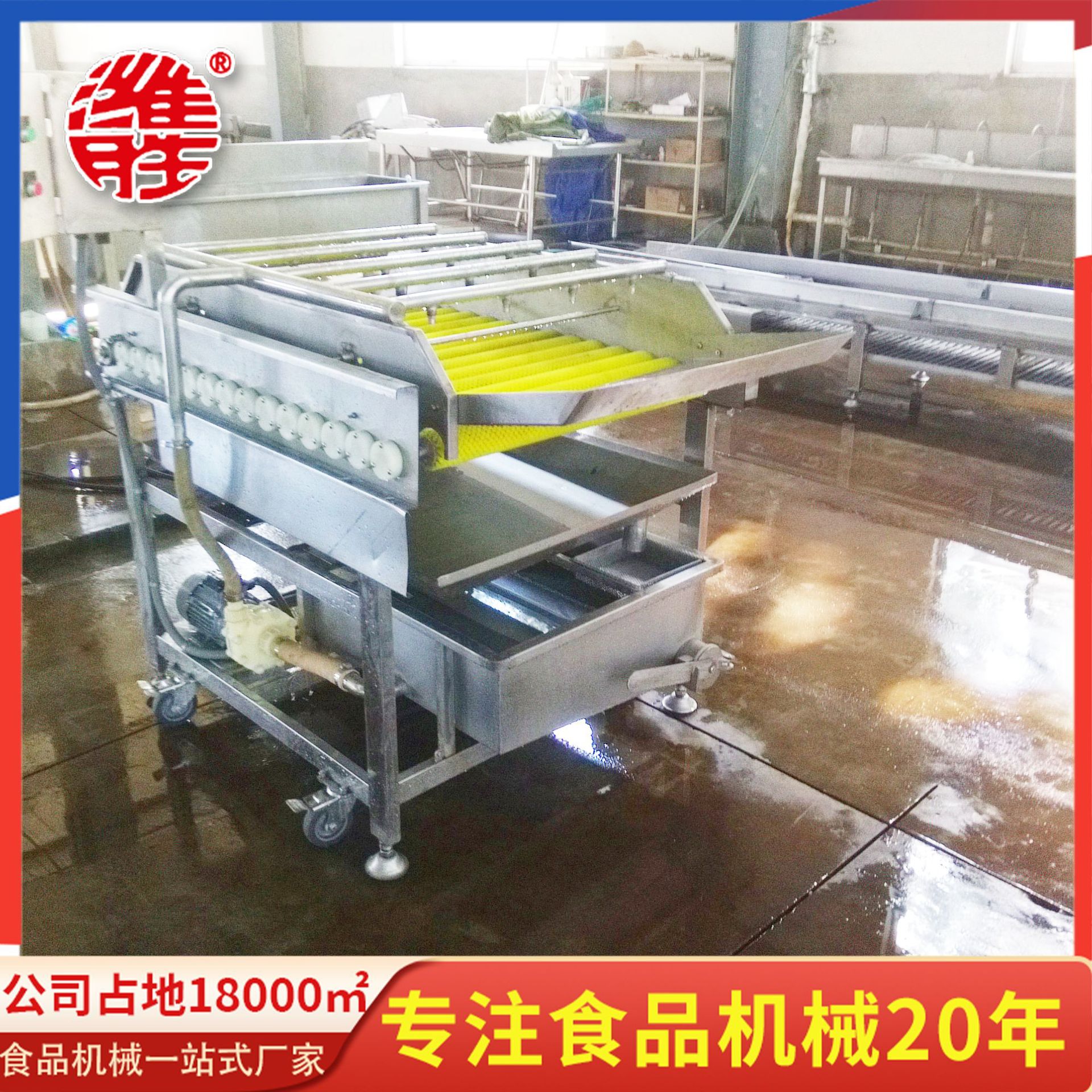 商用大型喷淋式清洗机设备 蔬菜清洗机  自动化小白菜清洗机设备