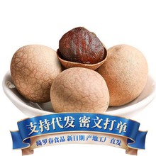 桂圆干大A果批发代发500g 莆田特产零食煮粥煲汤小核龙眼桂圆干