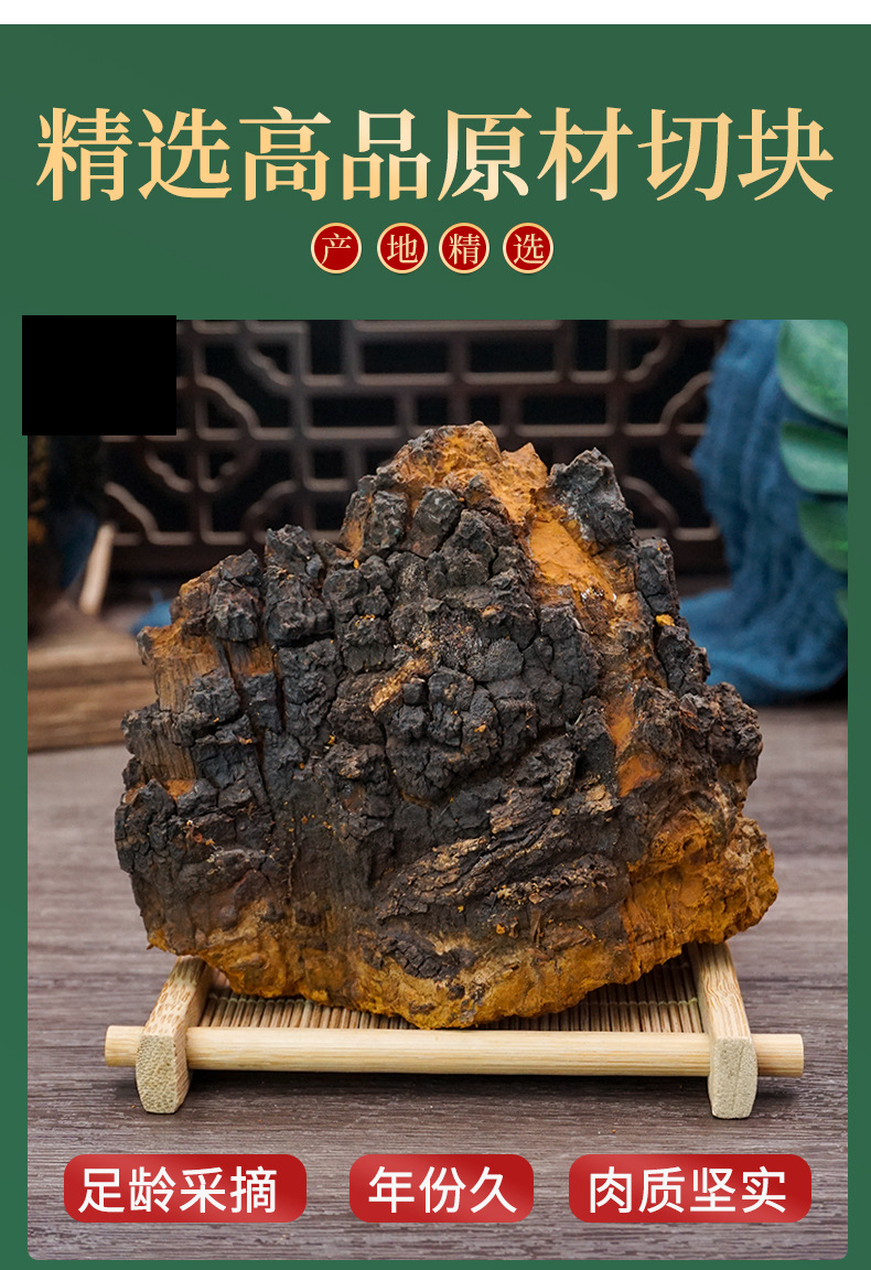 Wild Chaga Mushroom Raw Chunks 40g Long White Mountain Inonotus obliquus Herbal Tea overview