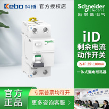 施耐德iID电磁式一体式漏电断路器2P 30mA 40A 63A A9R53263