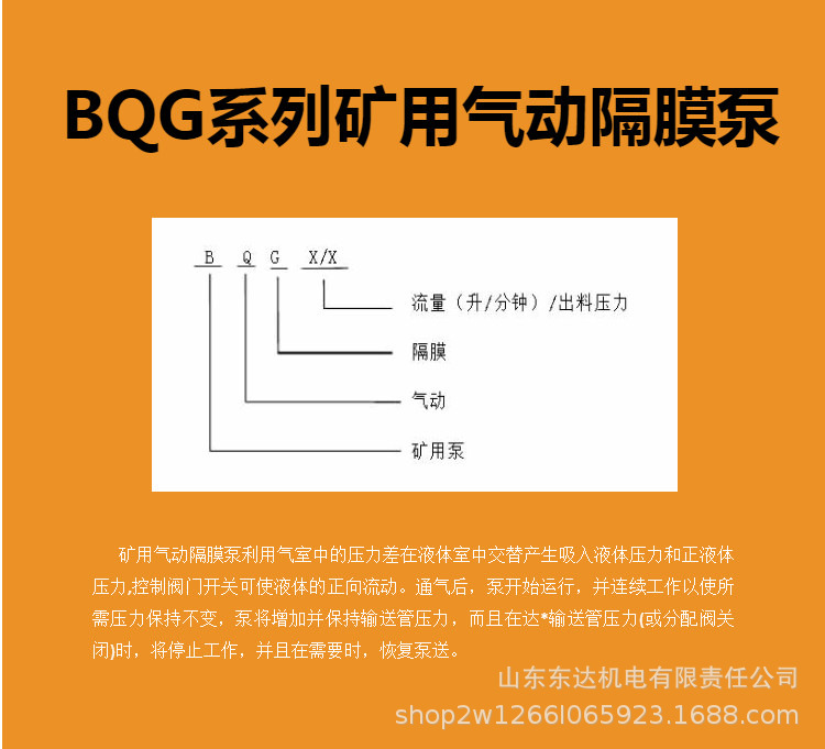 BQG气动隔膜泵 (17).jpg