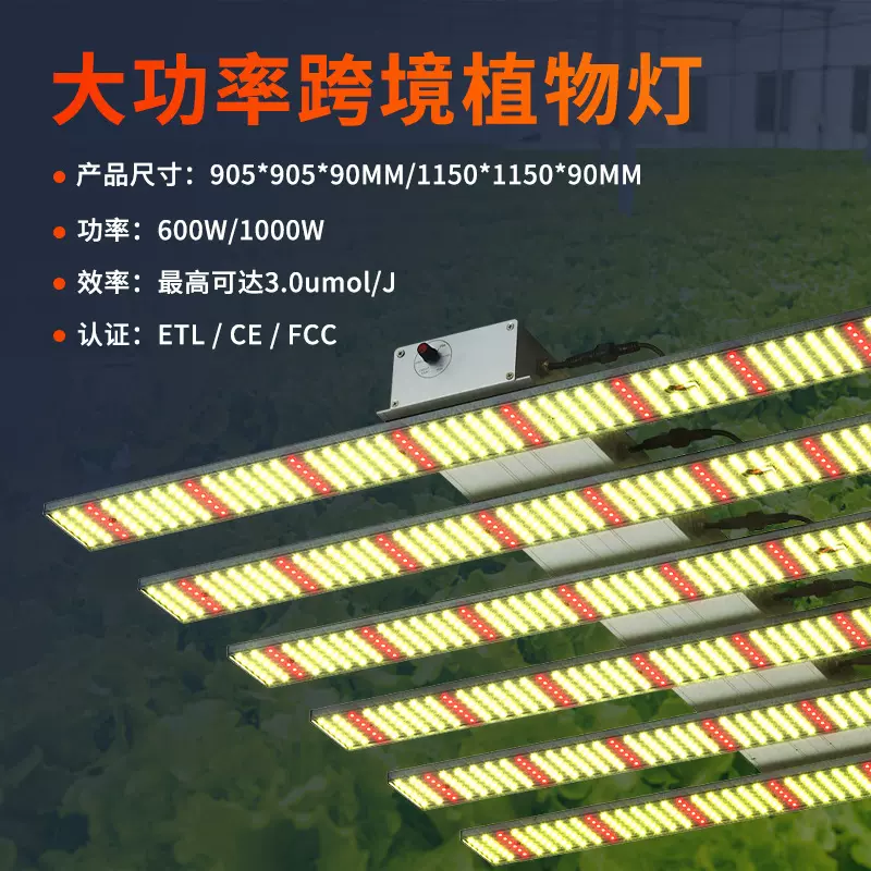 八爪鱼植物生长补光灯大功率600w种植灯全光谱led grow light