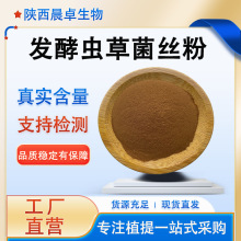 发酵虫草菌丝粉99% 虫草菌粉CS-4 蝙蝠蛾拟青霉菌丝体粉厂家直销