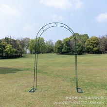 源头工厂跨境热卖庭院铁艺拱门葡萄架月季拱形花架爬藤架攀爬植物