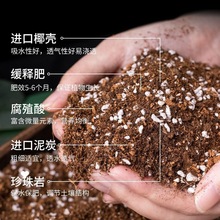 养花专用土通用型透气盆栽种菜土花多肉种植育苗土壤种花