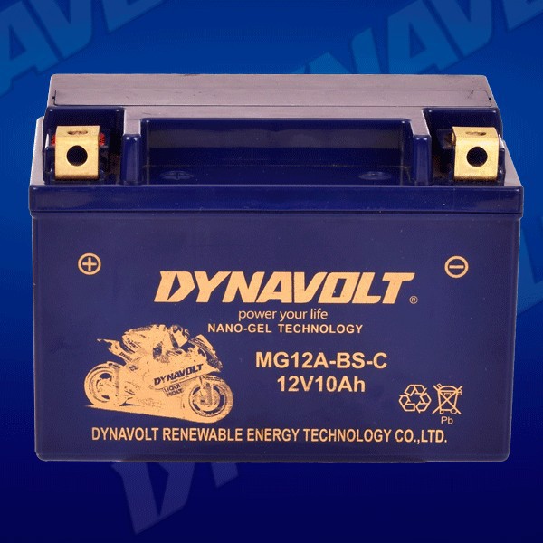 Batería de motocicleta de león para brisa de primavera Benelli Harley BMW 125 pedal hawk Kawasaki 12V batería