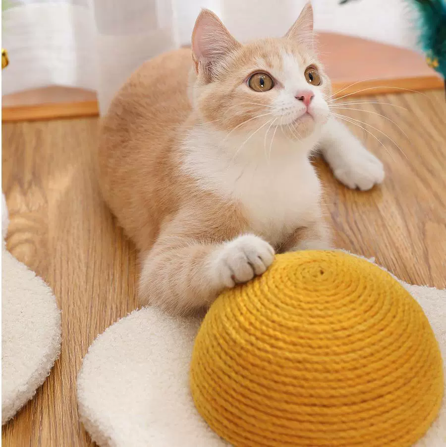 猫抓板蛋黄牛油果圆形磨爪抓球立式剑麻耐磨不掉屑猫爬架猫咪玩具