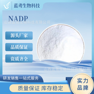 NADP �������oø�� �������������p��߰�������} �F؛�{�S����