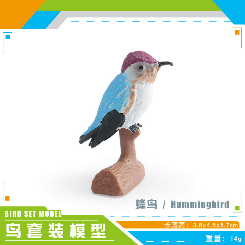 Simulación amazónica de pájaros hummingbirds, colibríes, pájaros, aves, animales, modelos de escritorio, juguetes decorativos estáticos