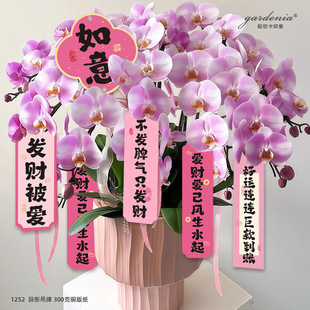 ������ؔ��ɫ��ؔ���������ޥ�m�����m�������Gֲ�����b쿨