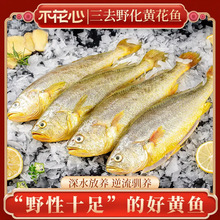 ��������ȥҰ��С�S���~ȥ�[ȥ��ȥ���K4�l600g�ߙn������r���l