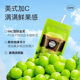 Fruit Flavored Coffee Cold Brew Instant Black Coffee Pomegranate Apple Sunshine Rose Sucrose-Free Freeze-Dried Coffee