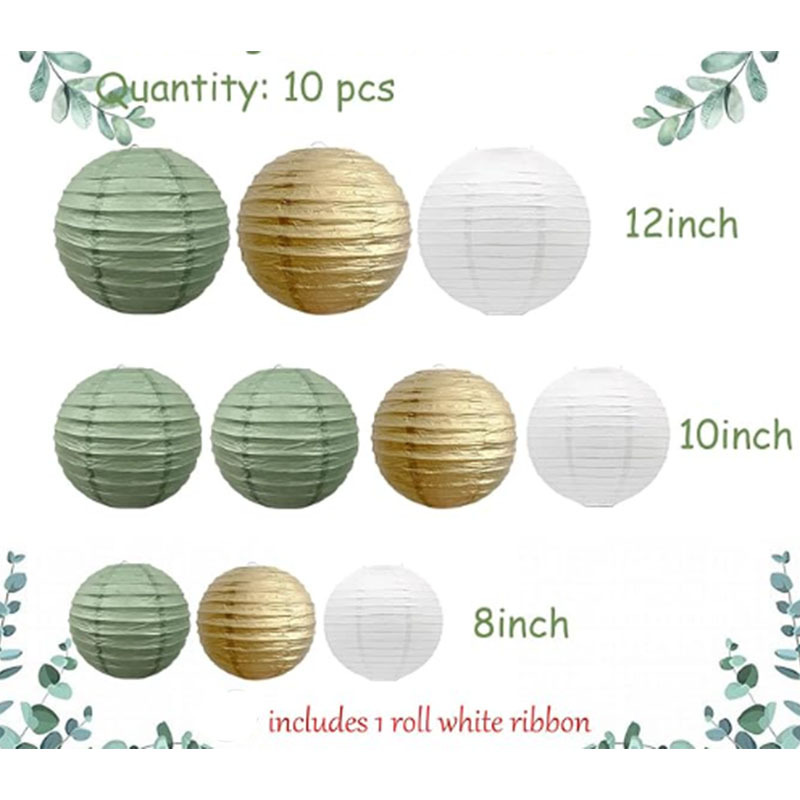 D타입 10개 세이지타입