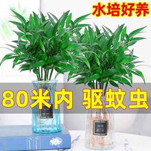 ����������ˮ��������ֲ�������x�Gֲ�҃ȿ͏d�����ļ�����