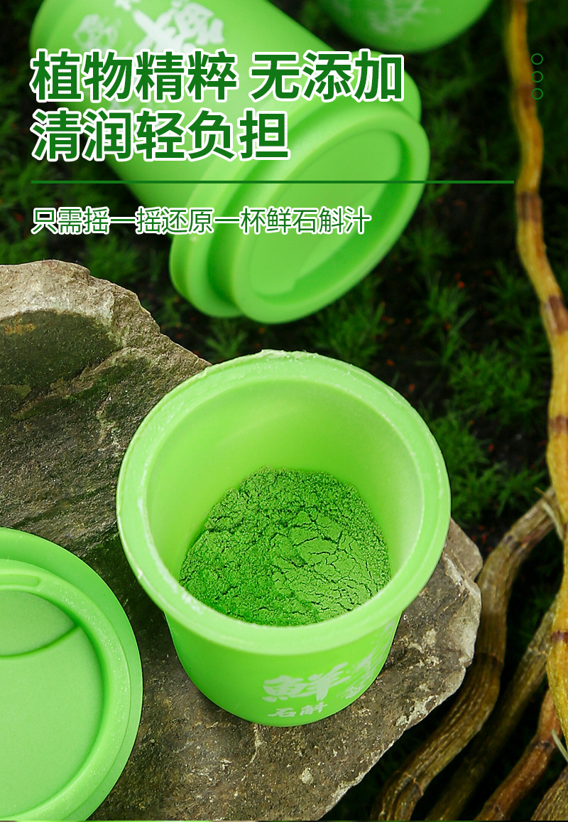 Huoshan Dendrobium Instant Freeze-Dried Powder (Dendrobium officinale) — Fresh-Pressed Shi Hu Sticks in use