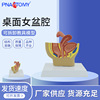 Female sex desktop pelvic cavity Model Female sex Reproduction system anatomy Model Oviduct Bladder Vagina Rectum Model