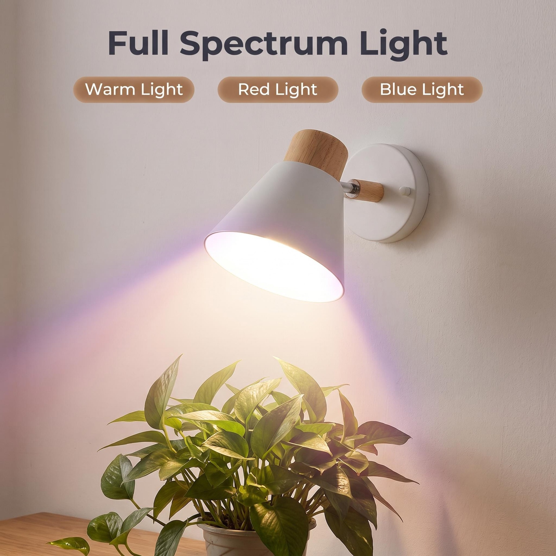 Plant lamp