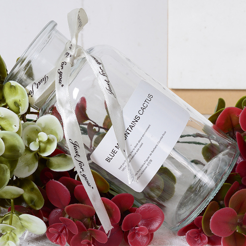 Florero de vidrio decoración salón arreglo floral transparente hidropónico bambú rica flor seca botella especial nueva cerámica hidropónica