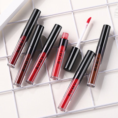 Lip glaze wholesale matte velvet students matte moisturizing lip dye liquid lipstick water lip gloss women's lip gloss lip mud