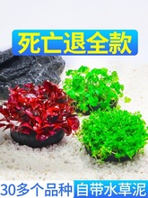 �~��ˮ��ֲ����ݻ��w������Ե�ˮ�~�����֑���ˮ���쾰ˮ�����