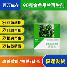 金鱼吊兰剂烂根黄叶急救液植物复活液盆栽花卉通用型营养液促