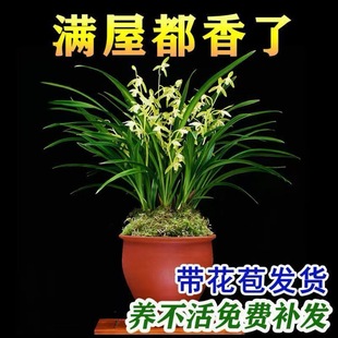 �������m���硿���m���F�m���ļ��m�����M���h�����B�҃ȾGֲ����