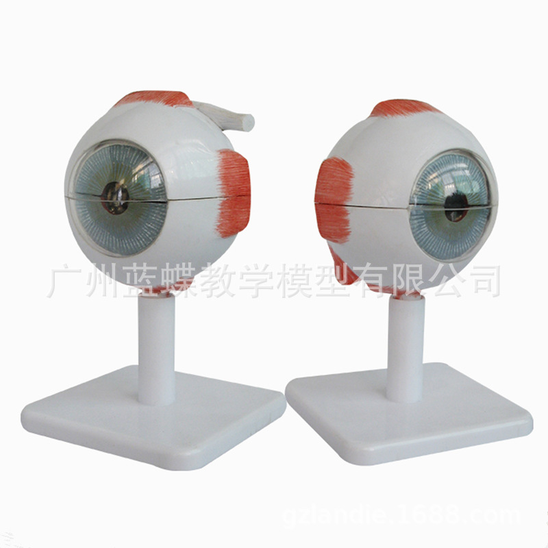 3���Ŵ� �����������ģ�� �����۾�����ѧ �о�����ٿ��ۿ�ģ��