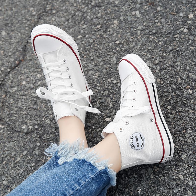 화이트 레드 (169)