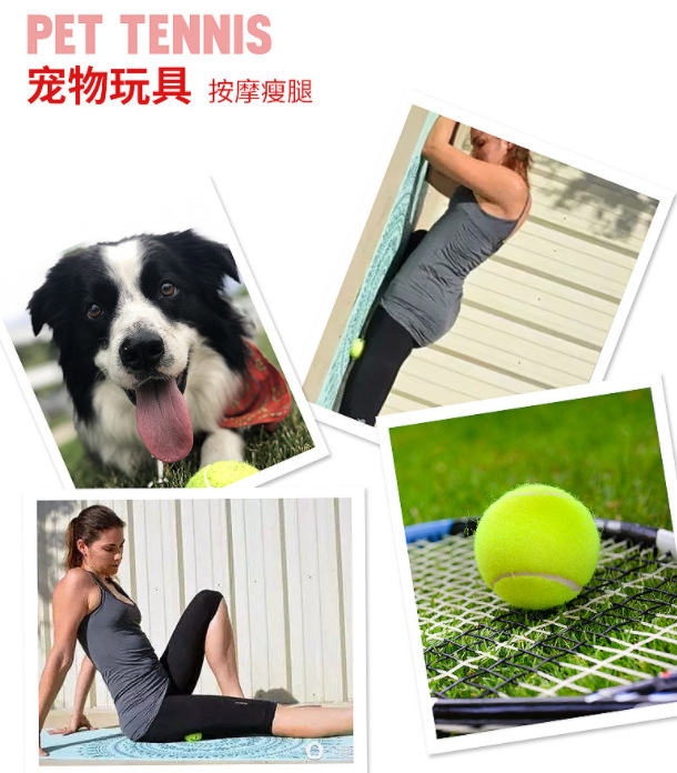 微信截图_20230427163123