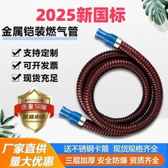 家用煤气罐国标天然气铠装煤气管燃气管液化气高压pv防爆金属软