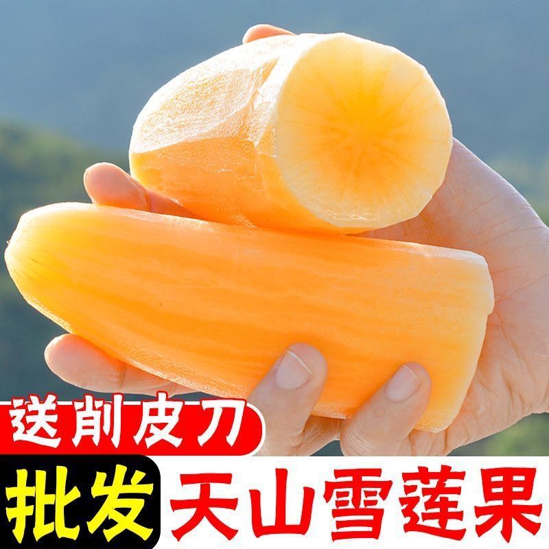 云南特产黄心天山雪莲果当季新鲜水果批发整箱厂工厂厂批发亚马逊