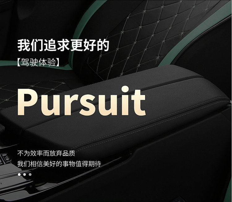 2025 New Model Full Leather Two-Tone Crown All-Season Universal Car Seat Cushion