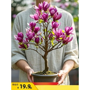 ���m�����簫�����Դ����ͥԺ�ͺ�������ĵ���V���m�ļ����Bֲ��