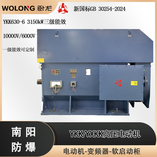 WOLONG늚�6000V�߉�늙CYXKK2 YXKK630-6 3150kW 10000V IP65 F