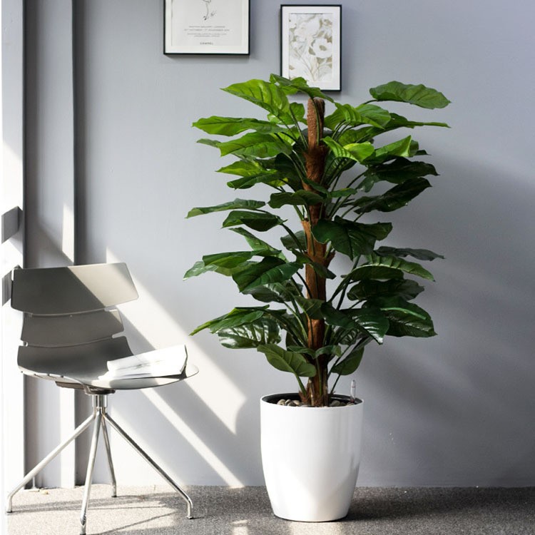 O1CN01Yy1QVY20Gz3BICW36_!!2212