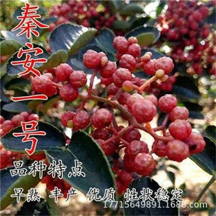 ������������ʳ���Ĵ��ٽ�����齷���ϱ����N���Թ����箔��Y��